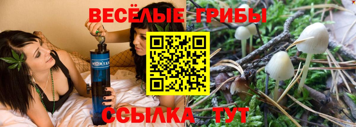 Фрязино  Псилоцибиновые грибы Cubensis  Галлюциногенные грибы Magic Shrooms  Вход с VPN 
